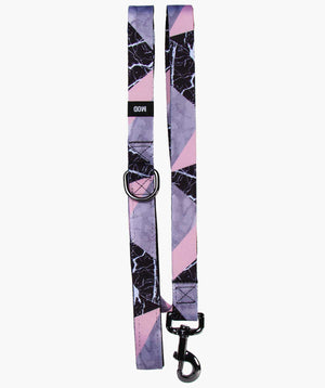 Blanco Pinco Set - MODLEASH