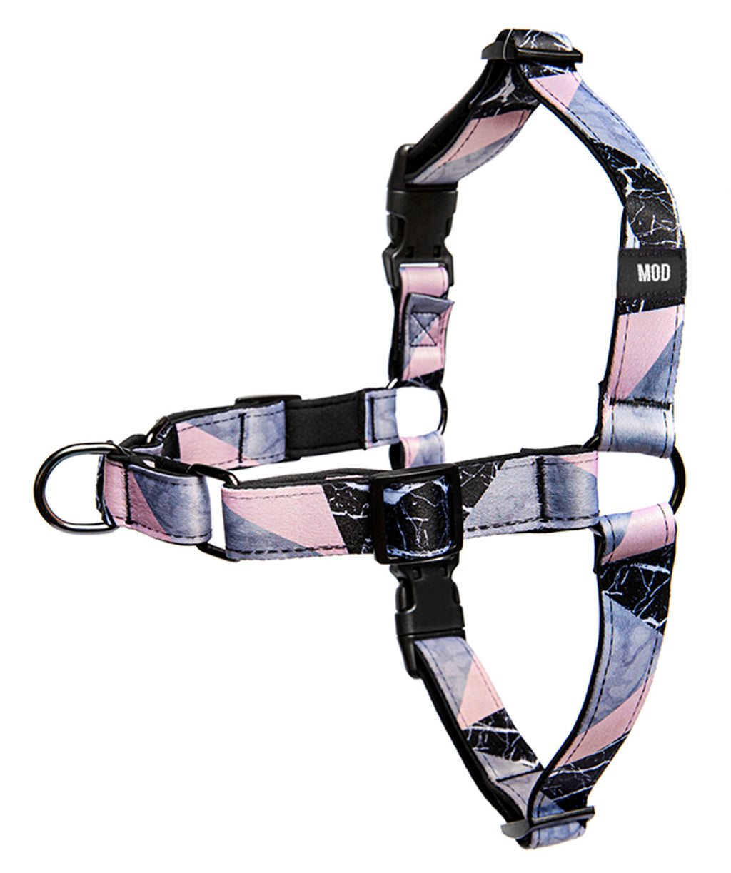 Blanco Pinco No-Pull Harness - MODLEASH