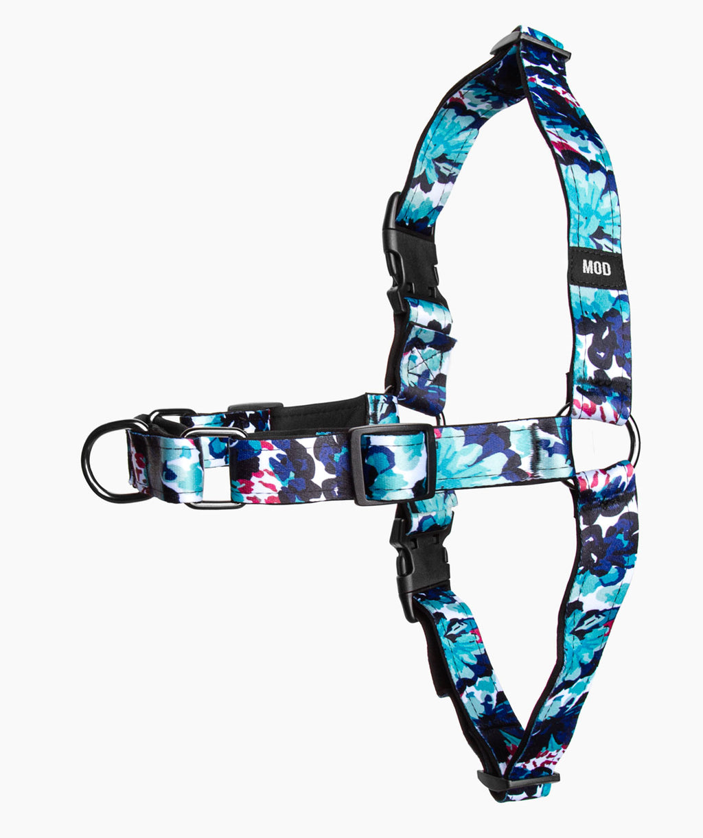 Dreams of Azul No-Pull Harness - MODLEASH