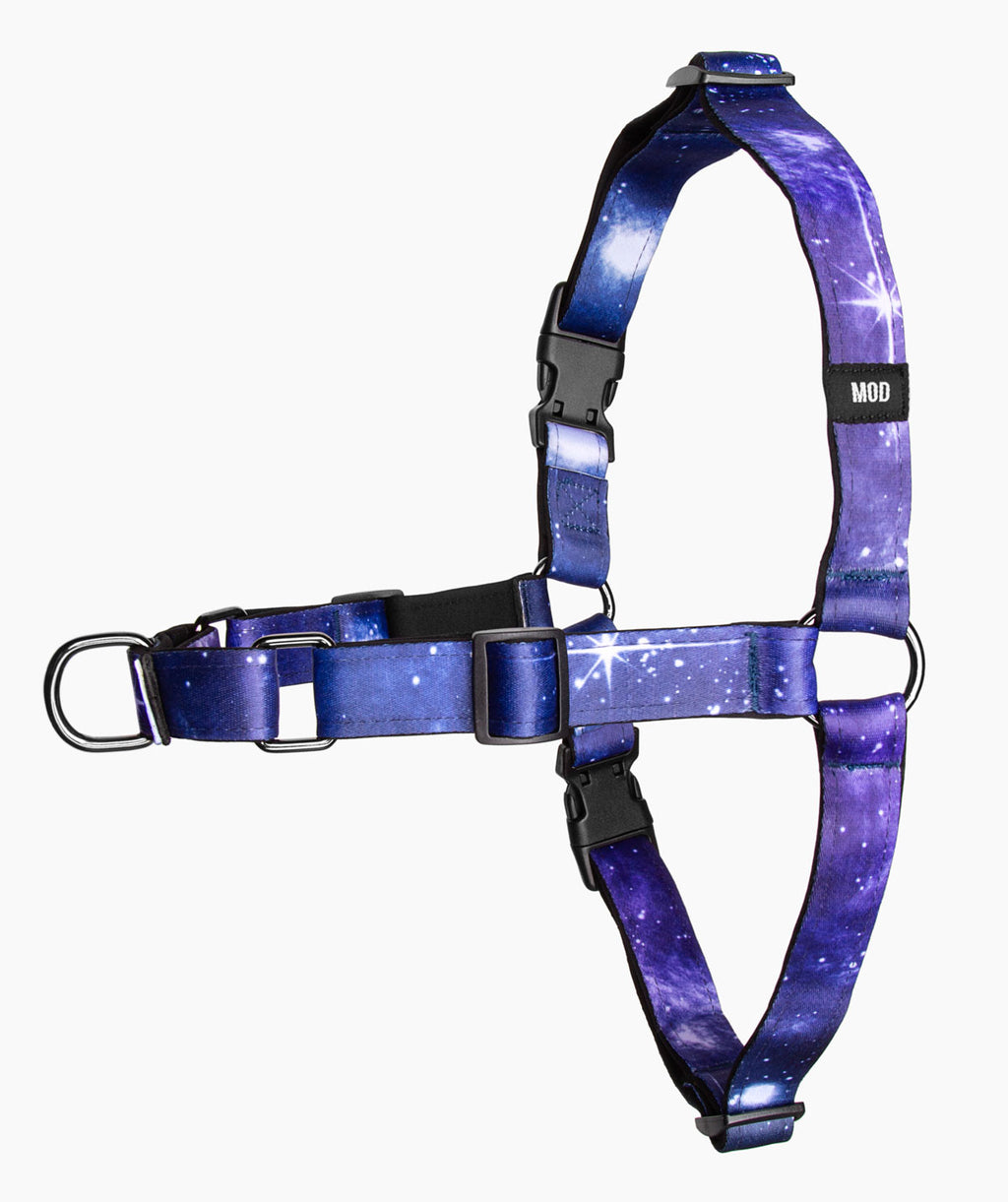 Galaxy Quest No-Pull Harness - MODLEASH