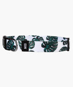 Monstera Deliciosa Set - MODLEASH