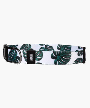 Monstera Deliciosa Set - MODLEASH