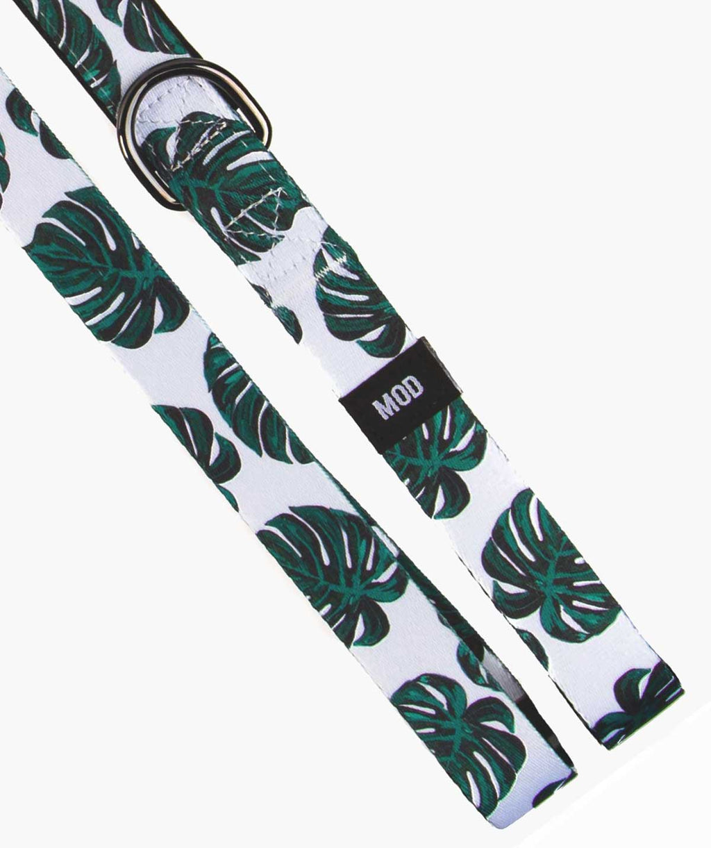 Monstera Deliciosa Set - MODLEASH