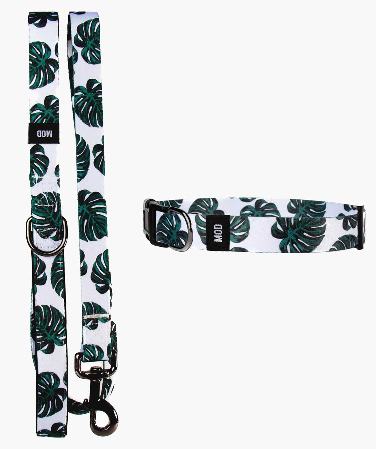 Monstera Deliciosa Set - MODLEASH