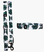 Monstera Deliciosa Set - MODLEASH