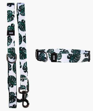 Monstera Deliciosa Set - MODLEASH