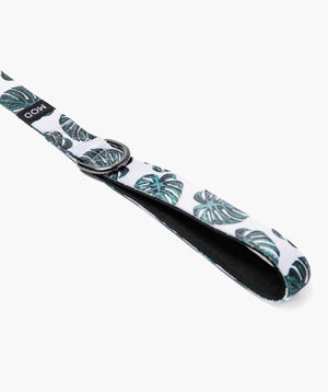 Monstera Deliciosa Set - MODLEASH