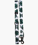 Monstera Deliciosa Set - MODLEASH