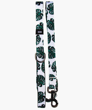 Monstera Deliciosa Set - MODLEASH