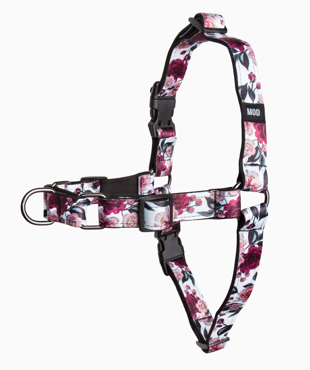 Nouveau Rouge No-Pull Harness - MODLEASH