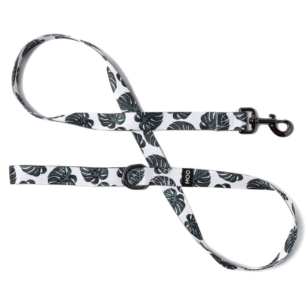 Monstera Deliciosa Leash - MODLEASH